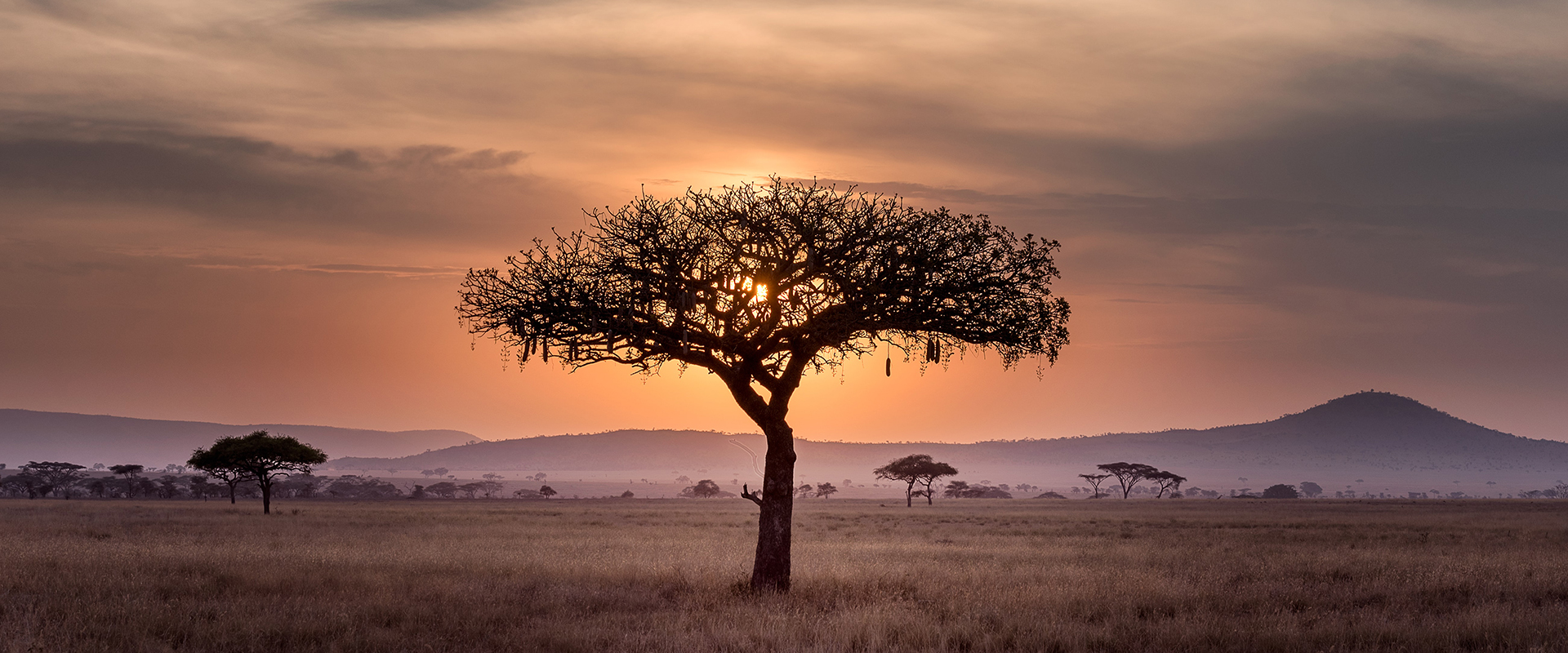 Kellie O'Brien | O'Brien School for the Maasai&nbsp;| Tanzania
Lifting Women & Children, Transforming Communities, Relieving Suffering
